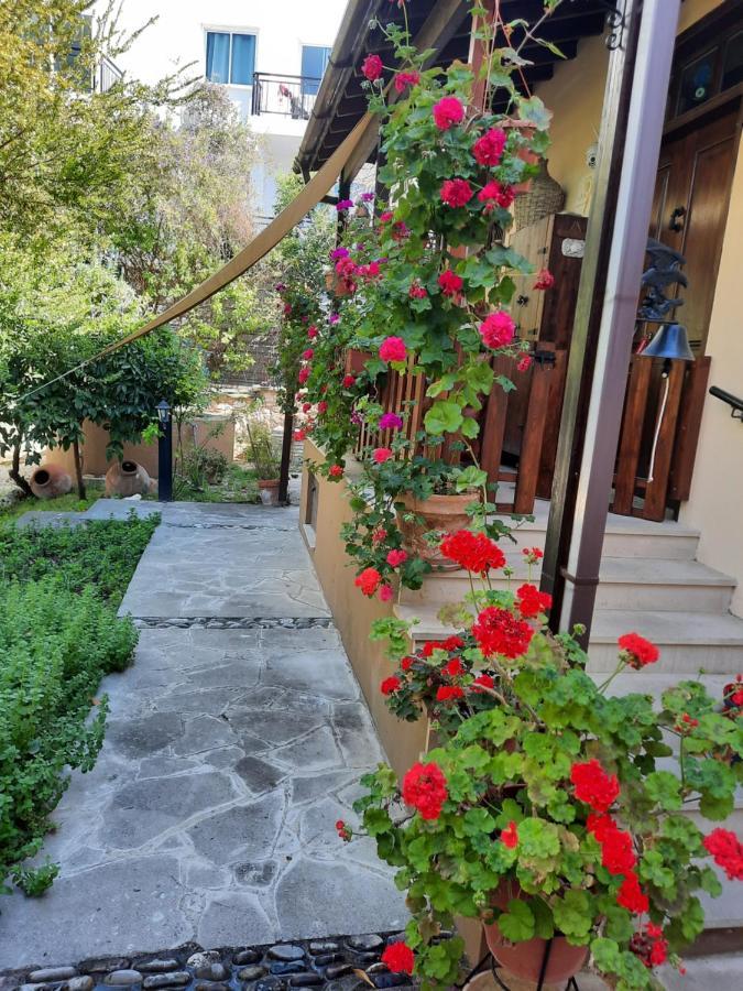 Vasilion Agrotourism Villa Polis Exterior photo