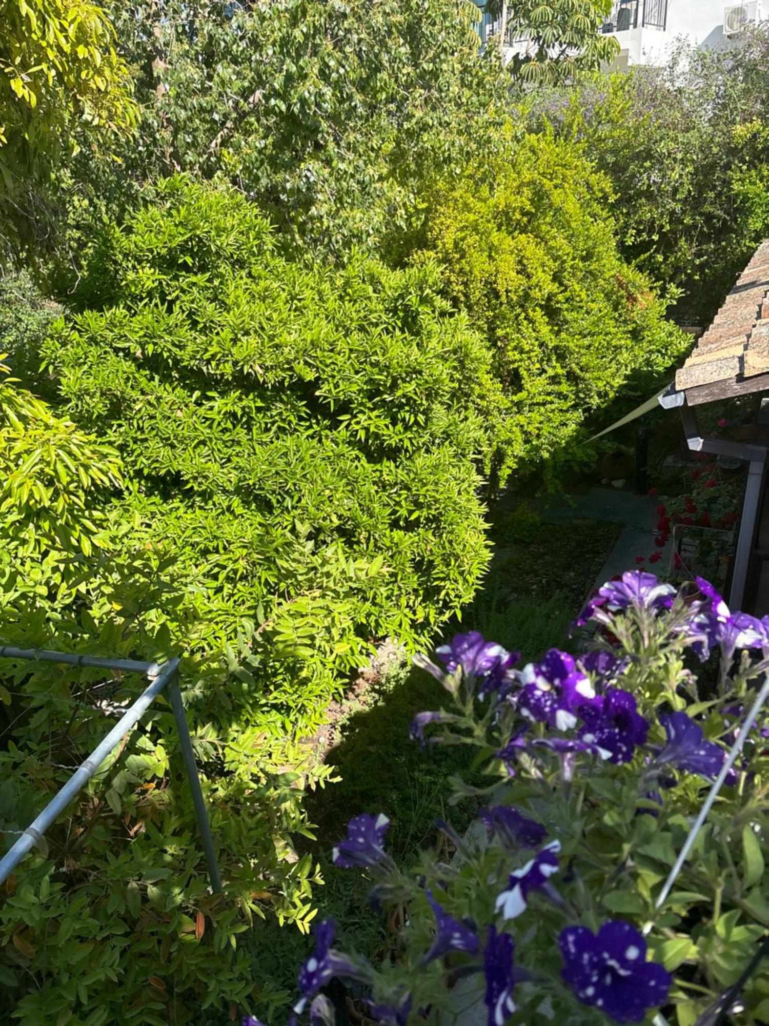 Vasilion Agrotourism Villa Polis Exterior photo
